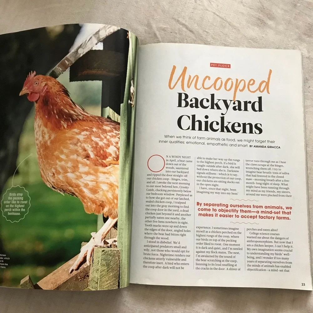 FREE The Ultimate Guide to the Animal Mind - Picture 4 of 10